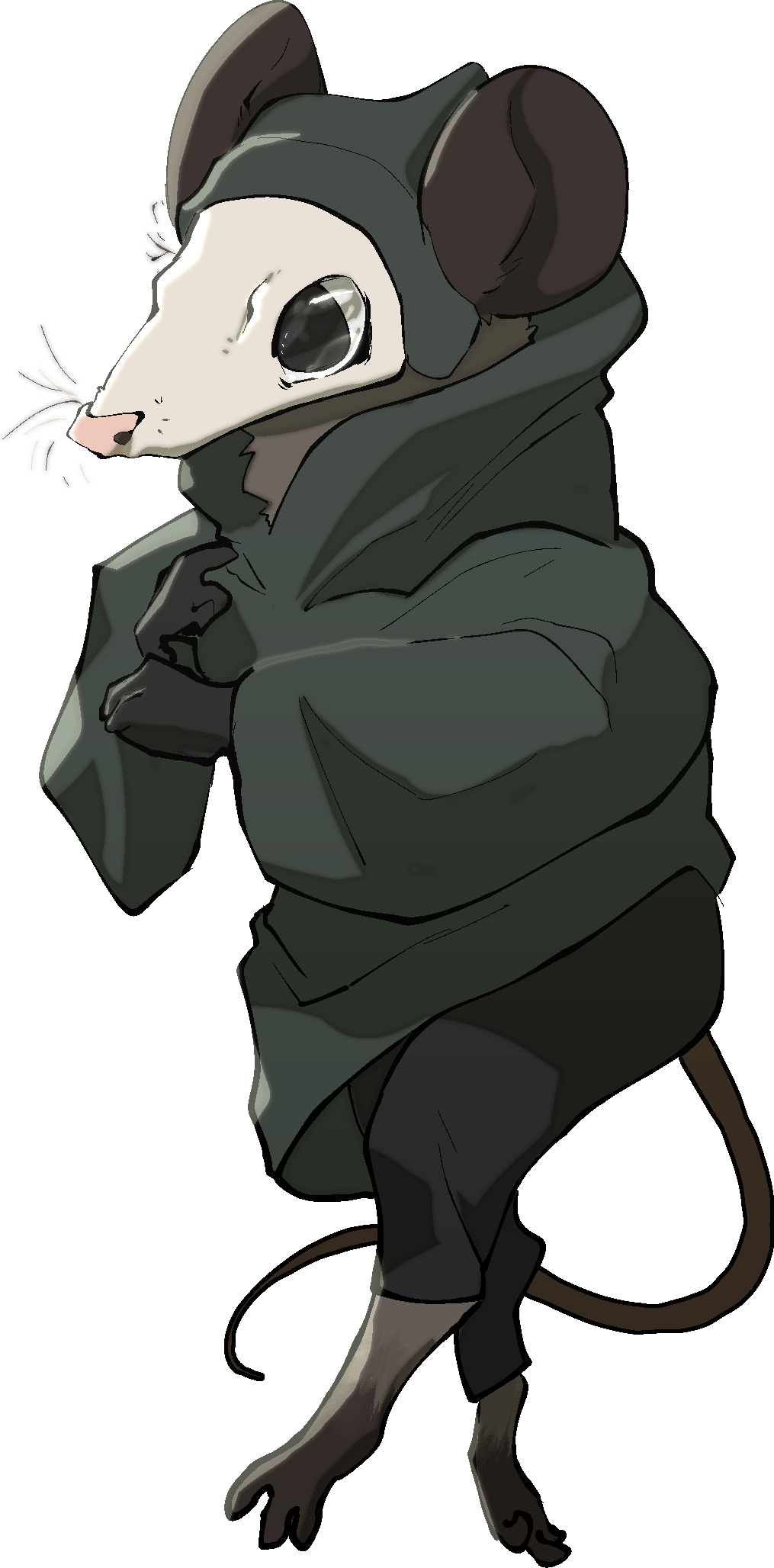 Opossum